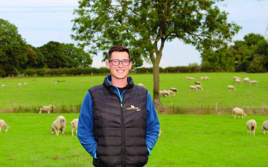 Performance of cade lambs fed Ewe-reka matches ewe-reared lambs